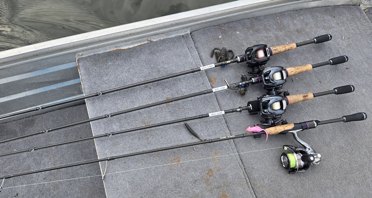 レジットデザイン「ワイルドサイド」を使って感じたことと折損経験