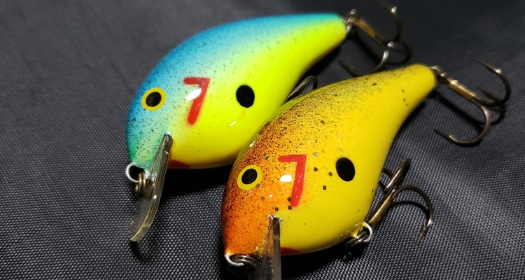 ビッグオー近影Oxbow BreamとParrotカラー