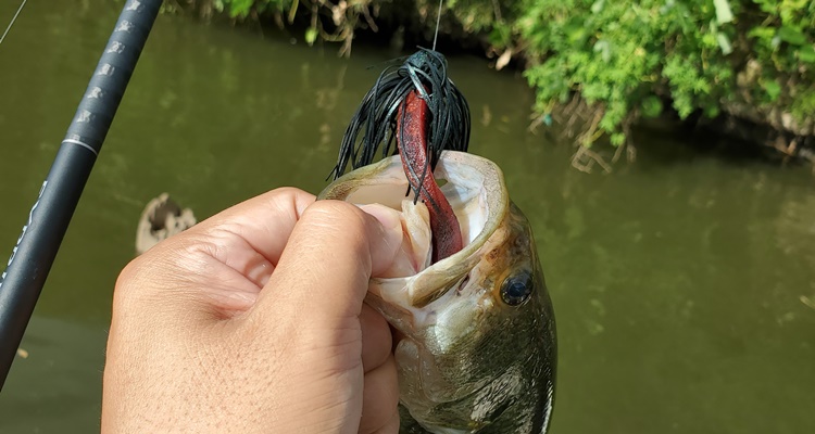 EGキャスティングジグ釣果画像