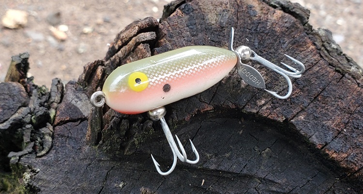 タイニートーピードX0360SD Shad